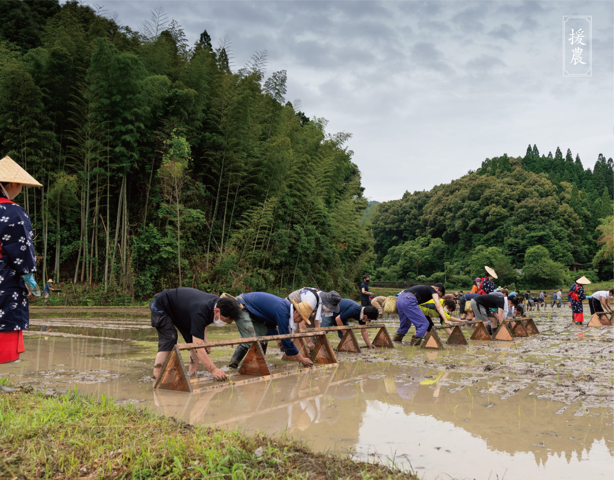 農耕儀礼「早苗饗祭」/手植えを行いました 花の香酒造株式会社（公式サイト）