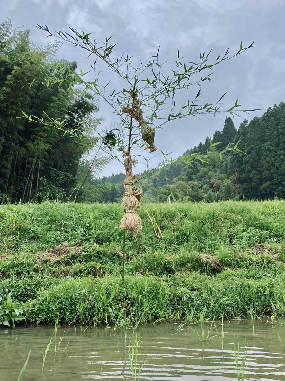 川祭り