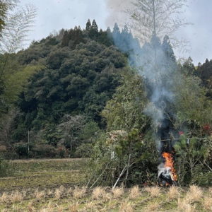 どんど焼き/どんどや