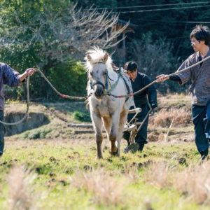 「産土の哲学」馬耕栽培