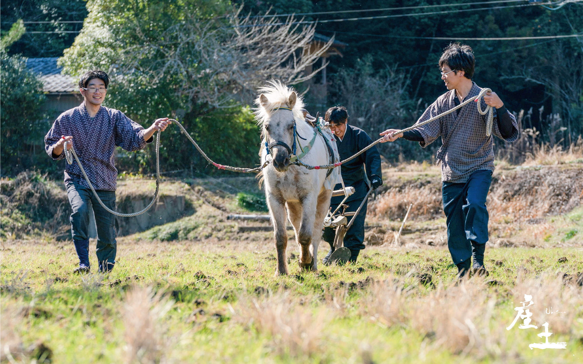 「産土の哲学」馬耕栽培