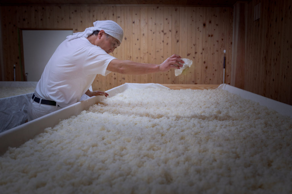 麹室での麹米づくり