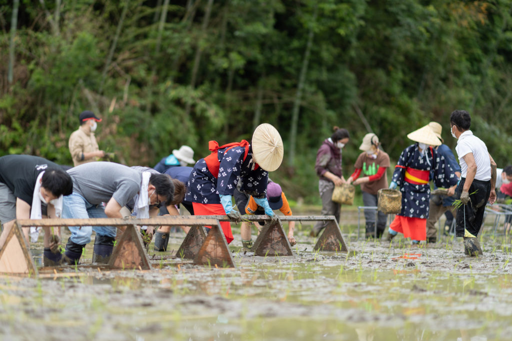 援農のみなさんとの毎年恒例の田植え