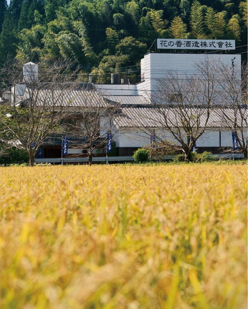 菊池川流域米 肥後御国酒 赤酒 花ノ香